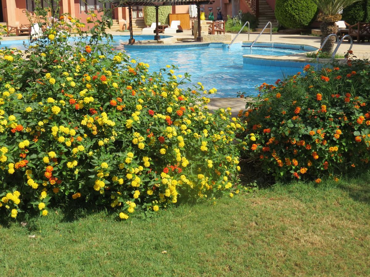 Africana Hotel & Spa Qaryat Shakush Exterior foto